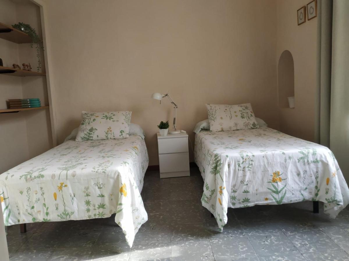 Alfacs Apartment ซันต์การ์เลสเดลาราปีตา ภายนอก รูปภาพ
