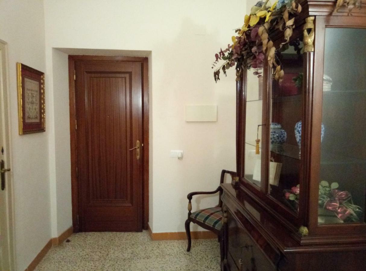 Alfacs Apartment ซันต์การ์เลสเดลาราปีตา ภายนอก รูปภาพ